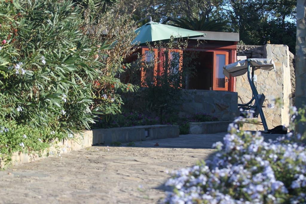 Case Vacanze La Cernia Bruna Isola di Ustica Bagian luar foto