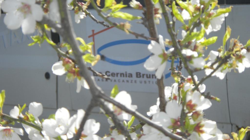 Case Vacanze La Cernia Bruna Isola di Ustica Bagian luar foto