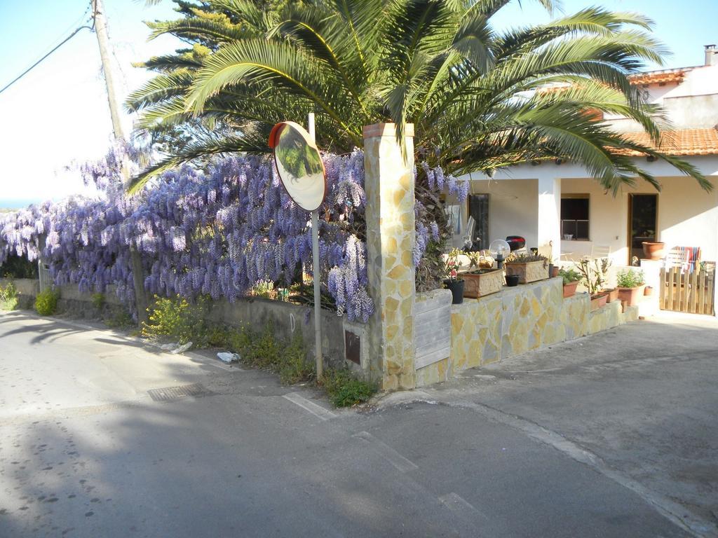 Case Vacanze La Cernia Bruna Isola di Ustica Bagian luar foto